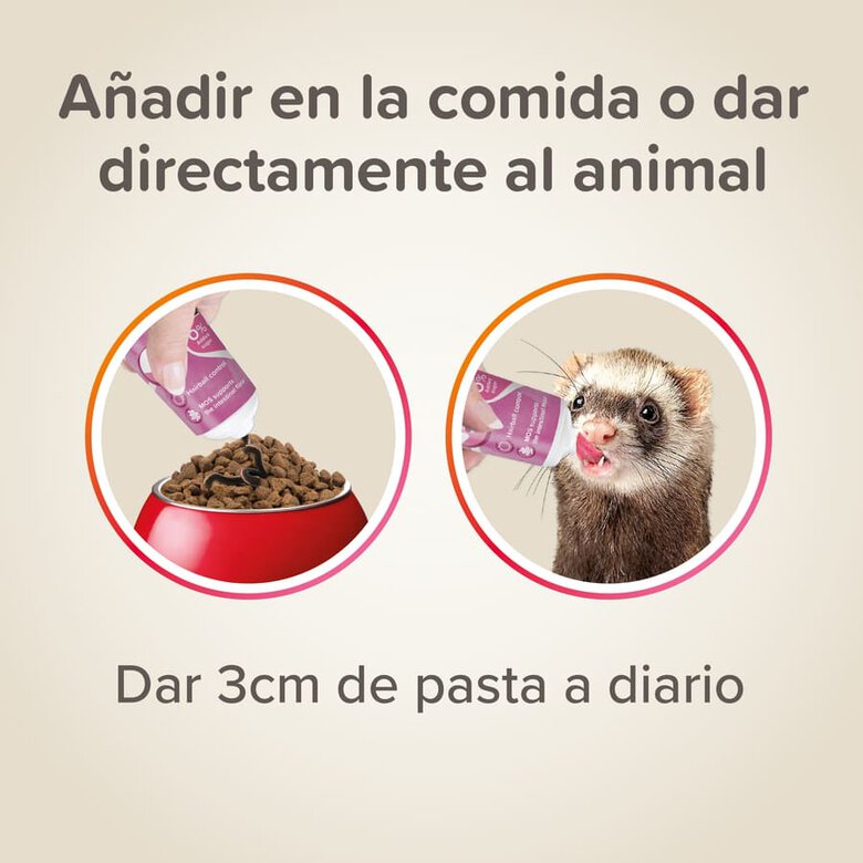 Pasta de malte Beaphar para furões