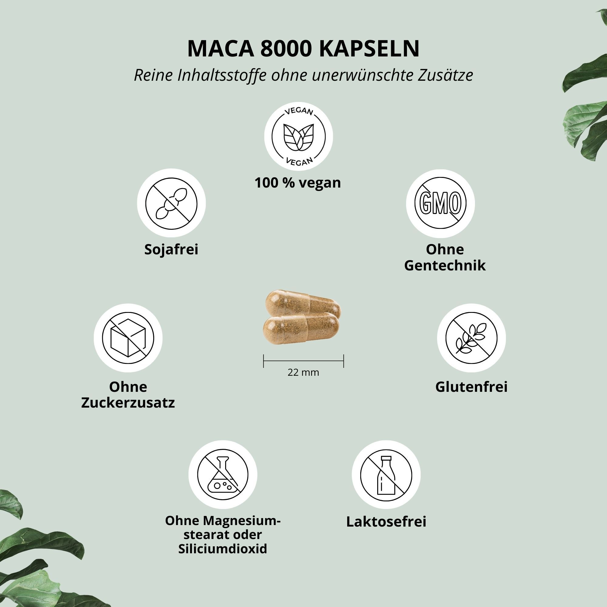 Nutri+ Maca Kapseln schwarz rot gelb - Pulver aus Wurzelextrakt