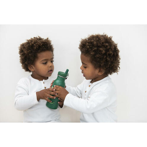 Gourde 500ml - Mr Crocodile - TRIXIE