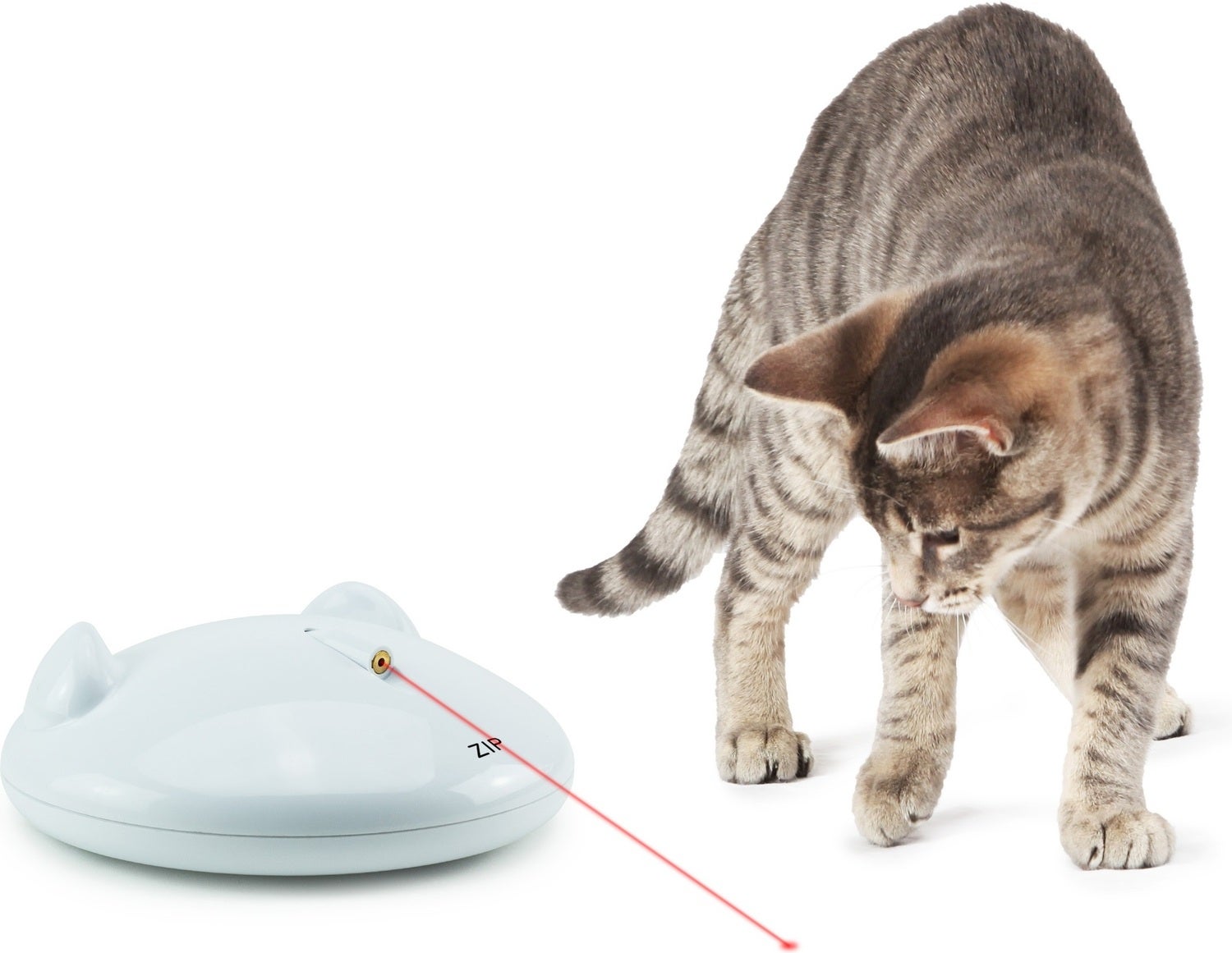 FroliCat kattenspeelgoed Zip laser wit 0,5 x 15,5 x 15,5 cm