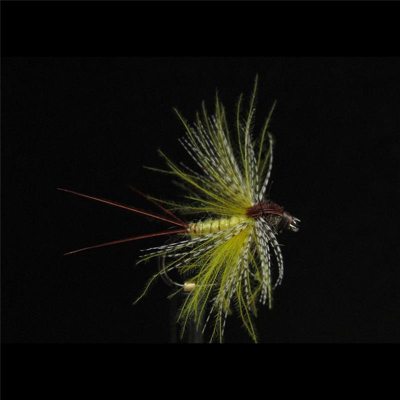 Mouche Jmc Sèches Mai 50 Bl