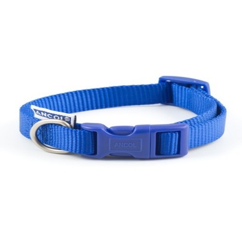Coleira ajustável Ancol em nylon azul refletivo para cães