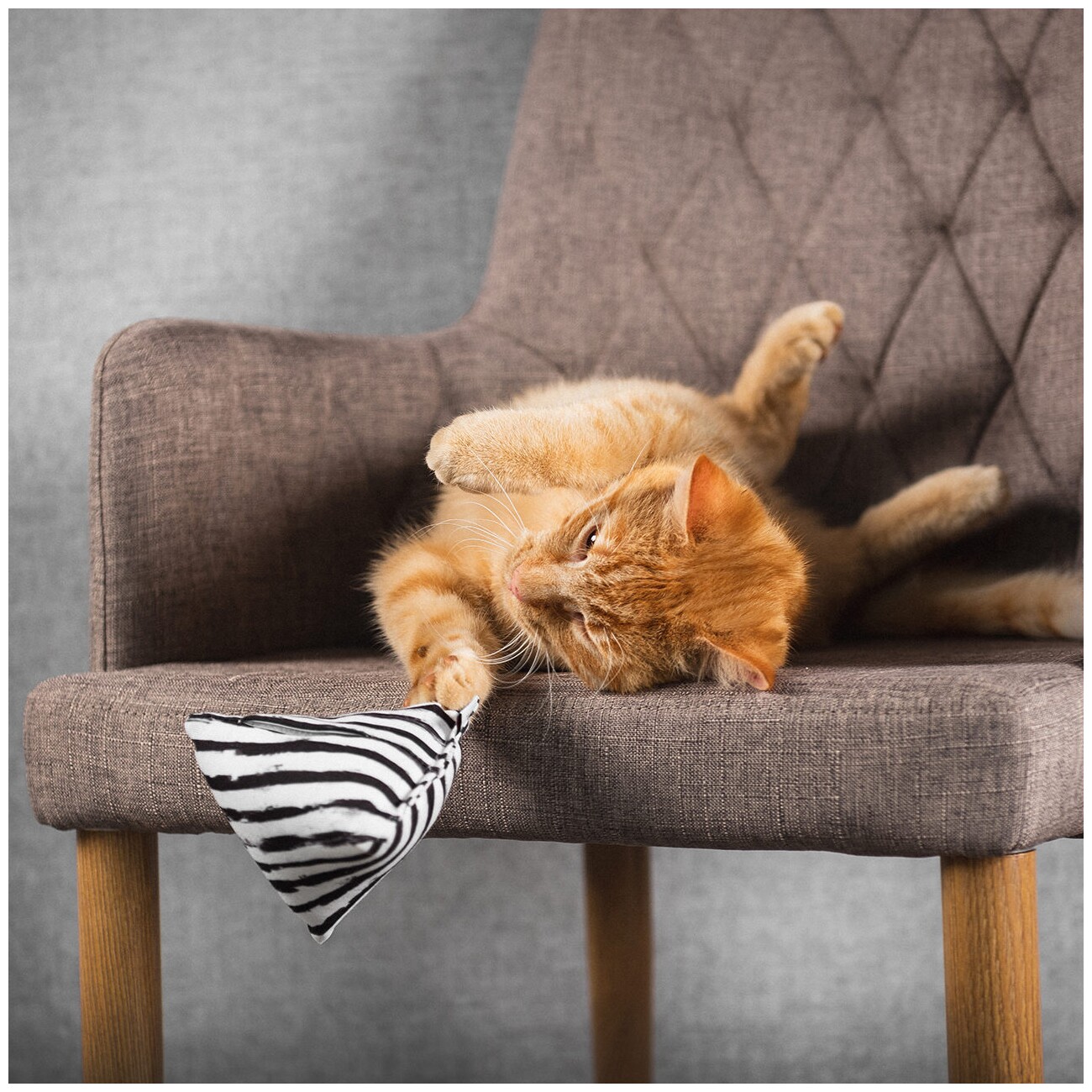 Canadian Cat Company Baldrianspielzeug 6x Schmusepyramide Zebra