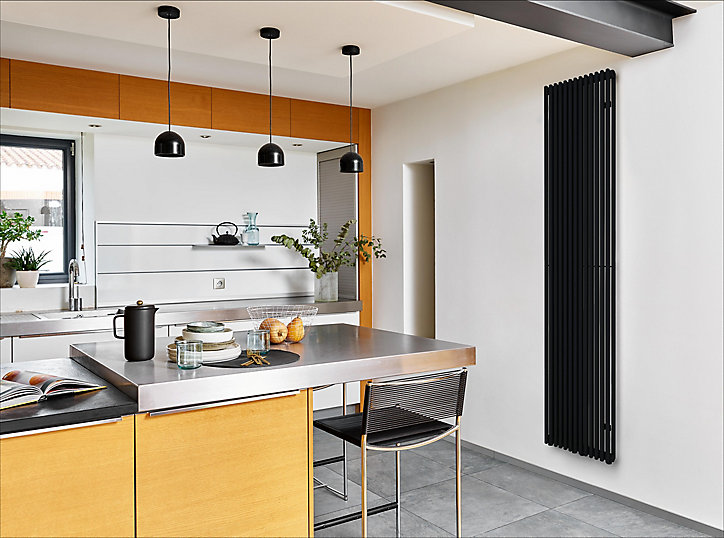 Radiateur eau chaude Acova Filin vertical double noir 1508W