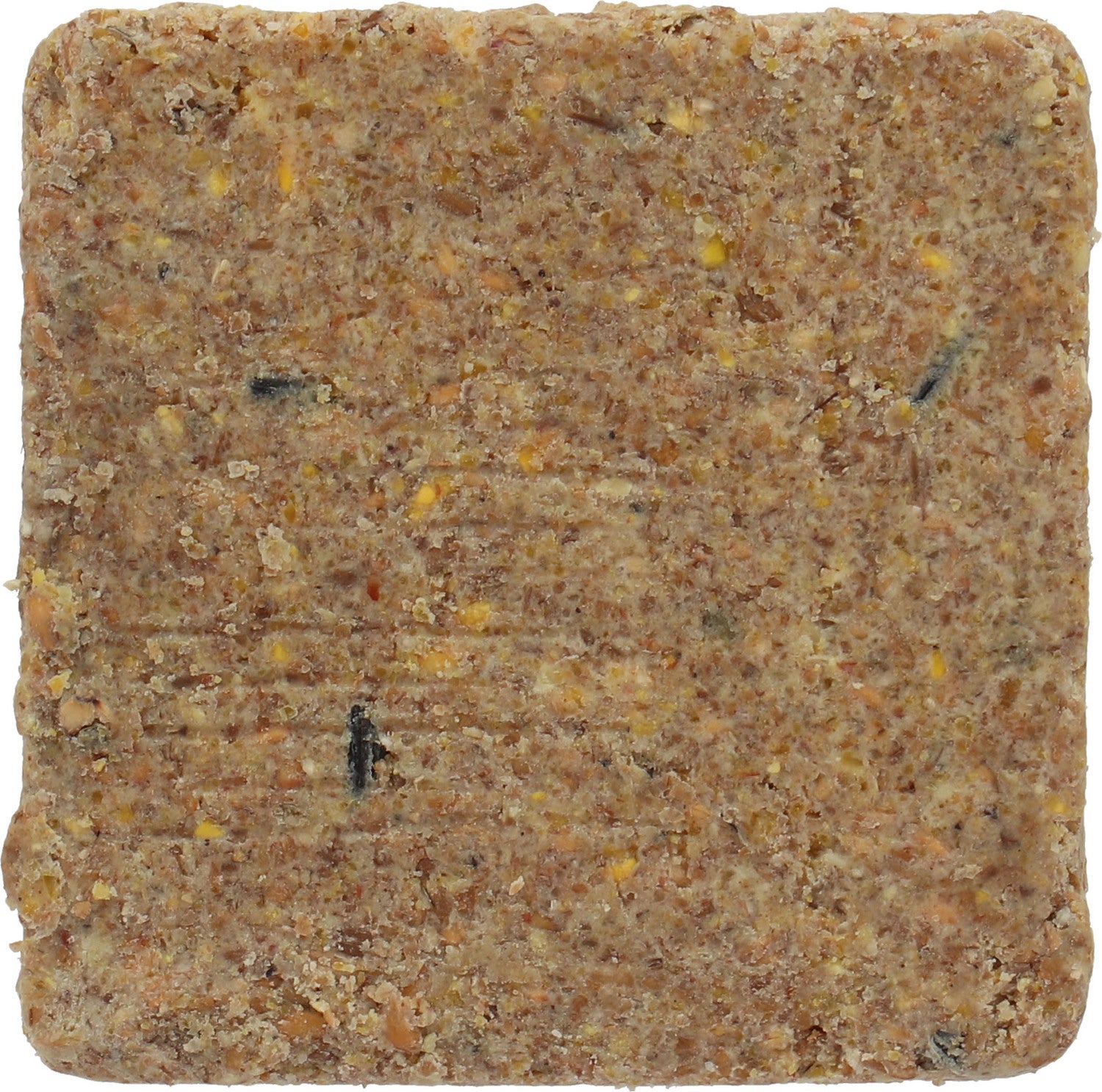 Intratuin vetblok 10 x 3,5 x 10 cm
