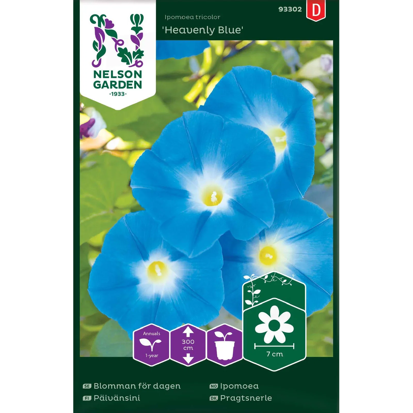 Ipomoea tricolor 'Heavenly Blue' Ipomoea 'Heavenly Blue'