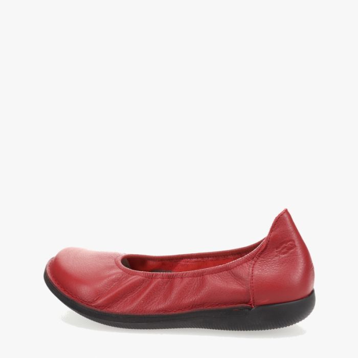 Nessersluis black sole