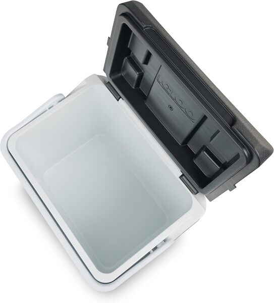 Glacière Igloo IP27 (27L)