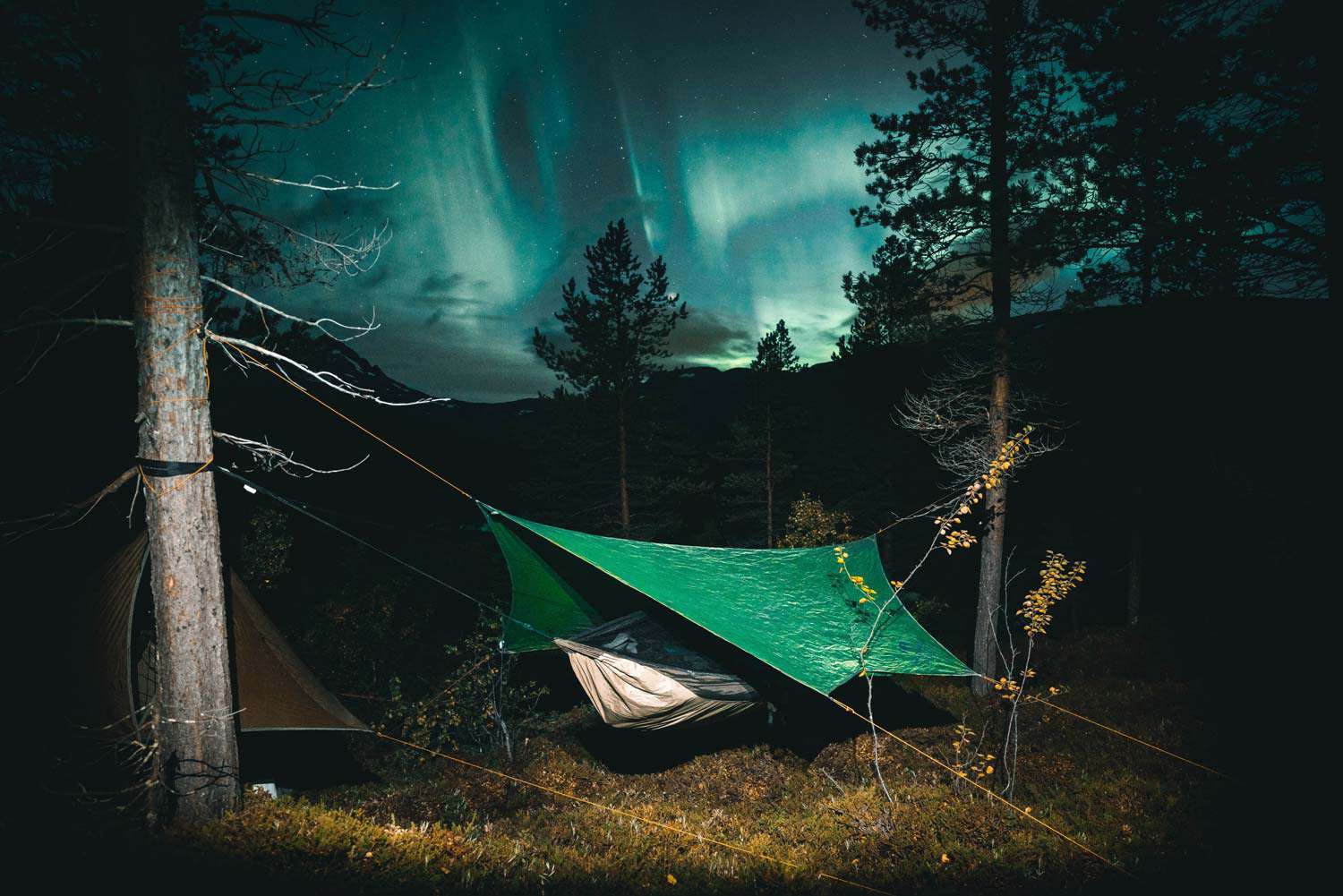 Amazonas Traveller Tarp Regendach  für Hängematte grün
