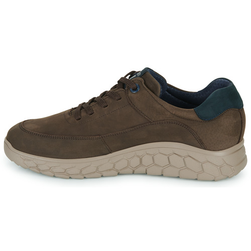 CallagHan - SUV CRO - Marron