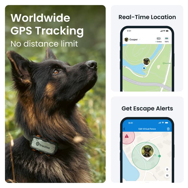 Tractive DOG XL Adventure Edition GPS tracker til hund