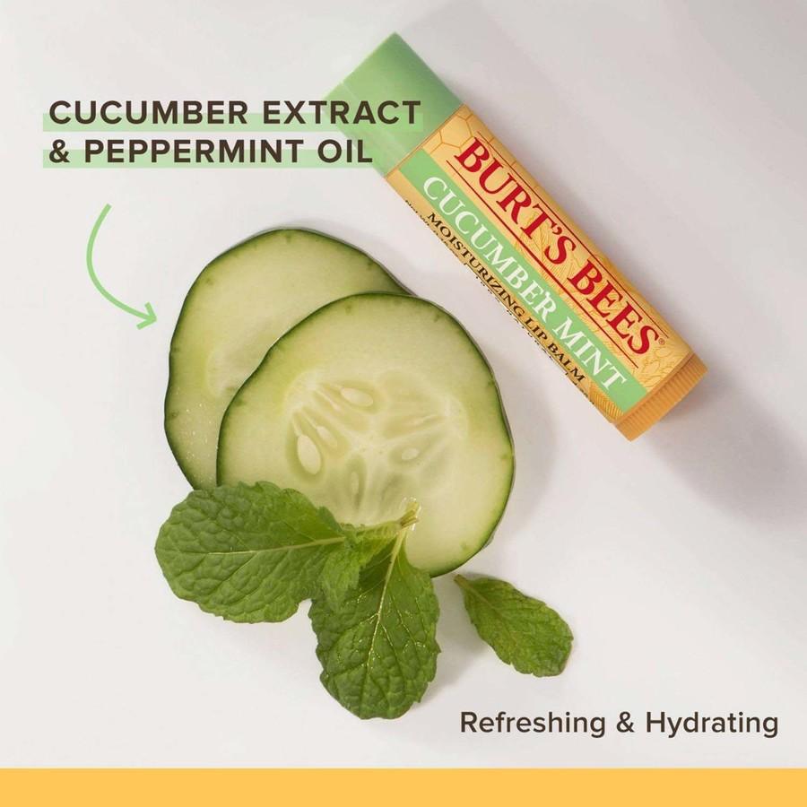 Burt's Bees Lip Balm 4 Pack Freshly Picked 4pcs