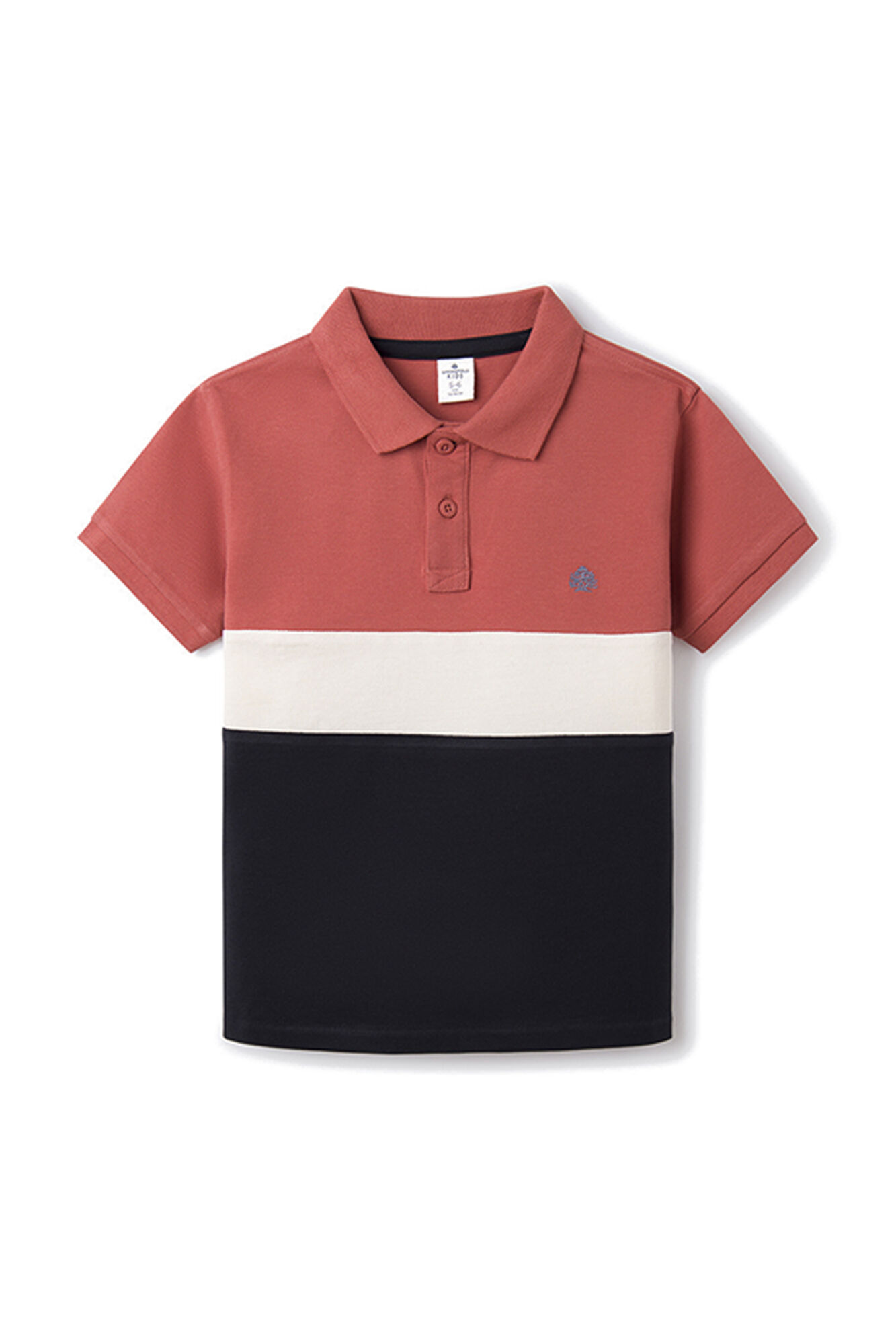 Menino com blocos de cores polo