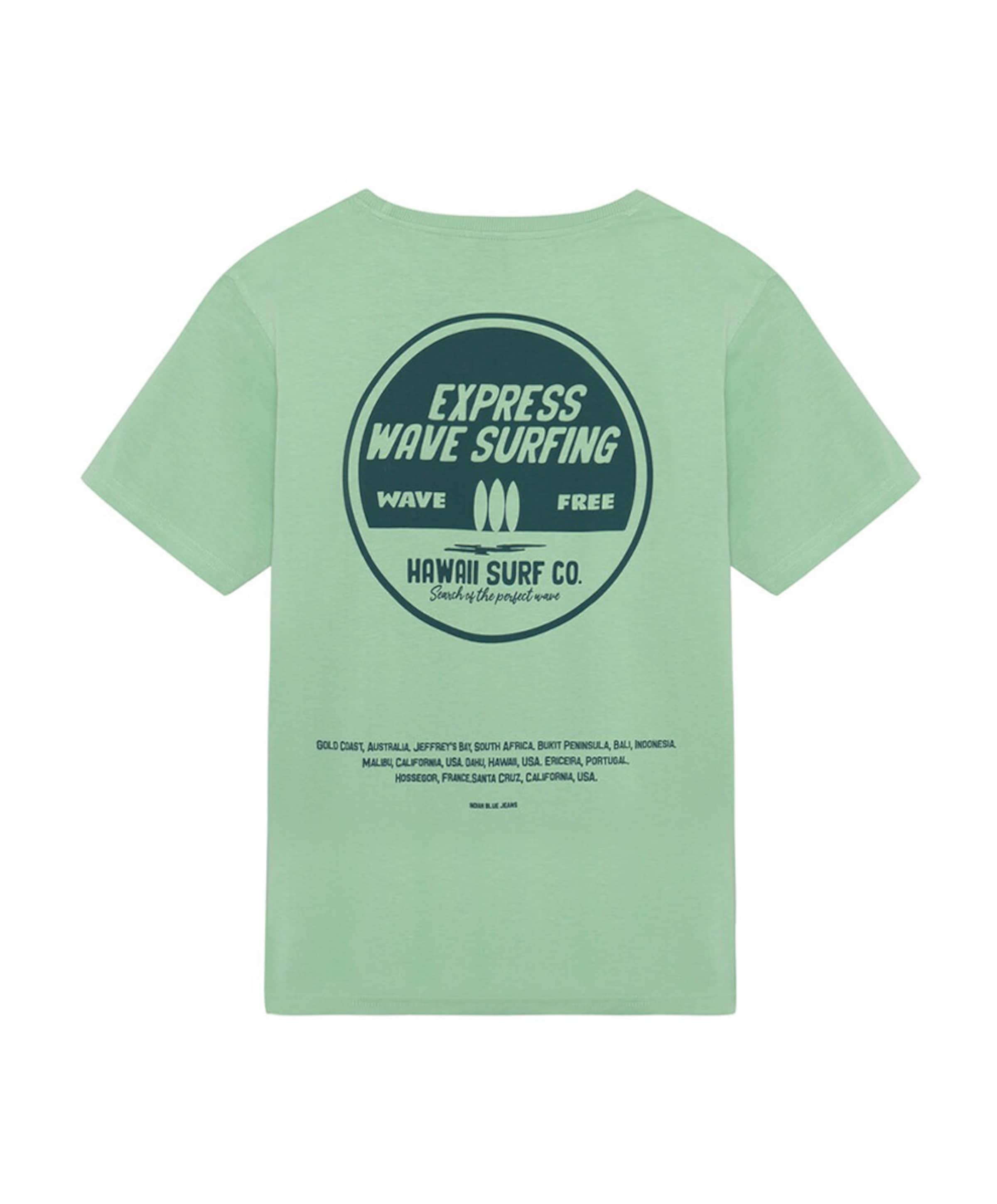 Indian Blue Jeans Jongens T-shirt groen