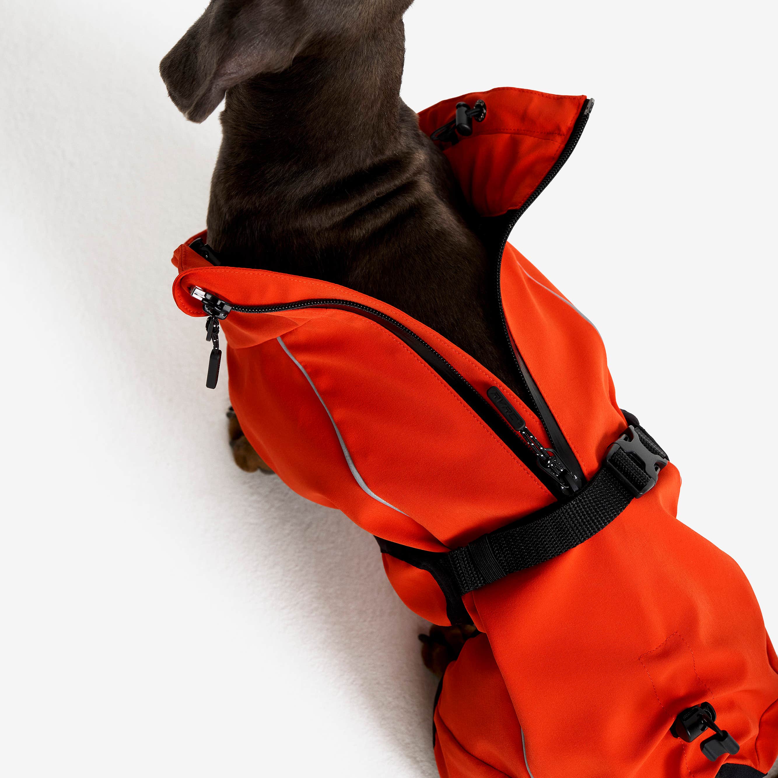 Cyclone Dog Jacket Hund Pureed Pumpkin