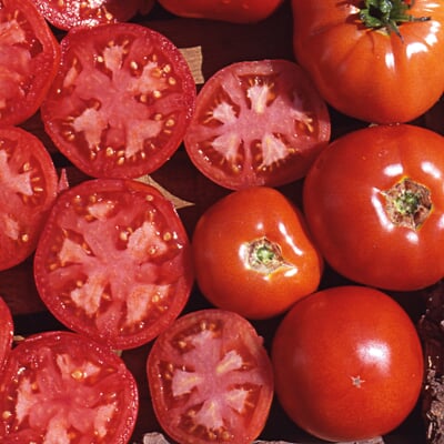 Gemüsesamen Tomaten in allen Farben