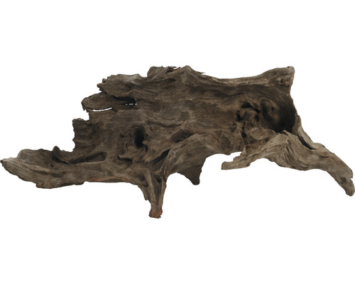 Aquariumdecoratie: Kapaswortel, middelgroot, ca. 20-30 cm