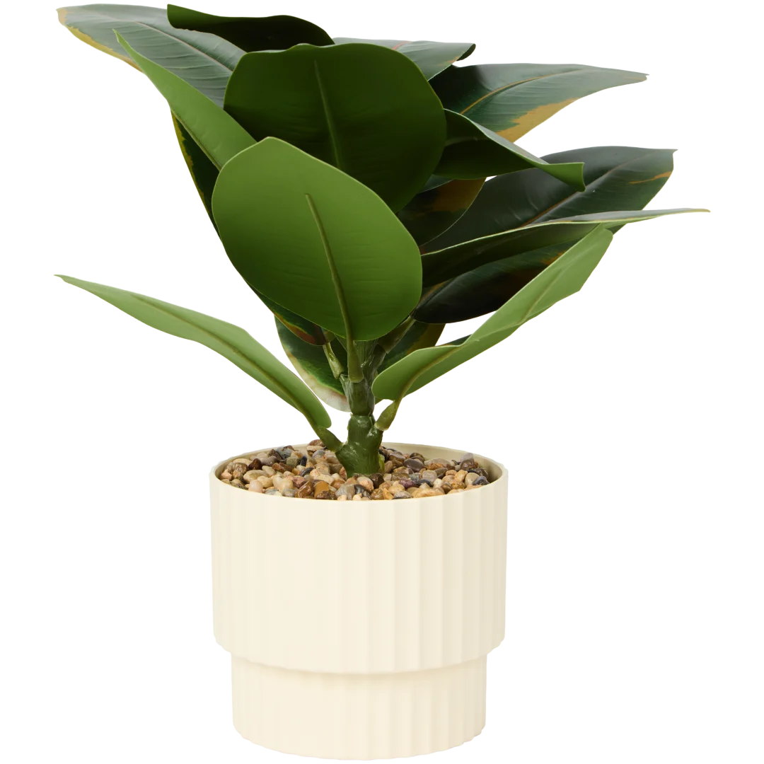 Ficus elastica artificiel