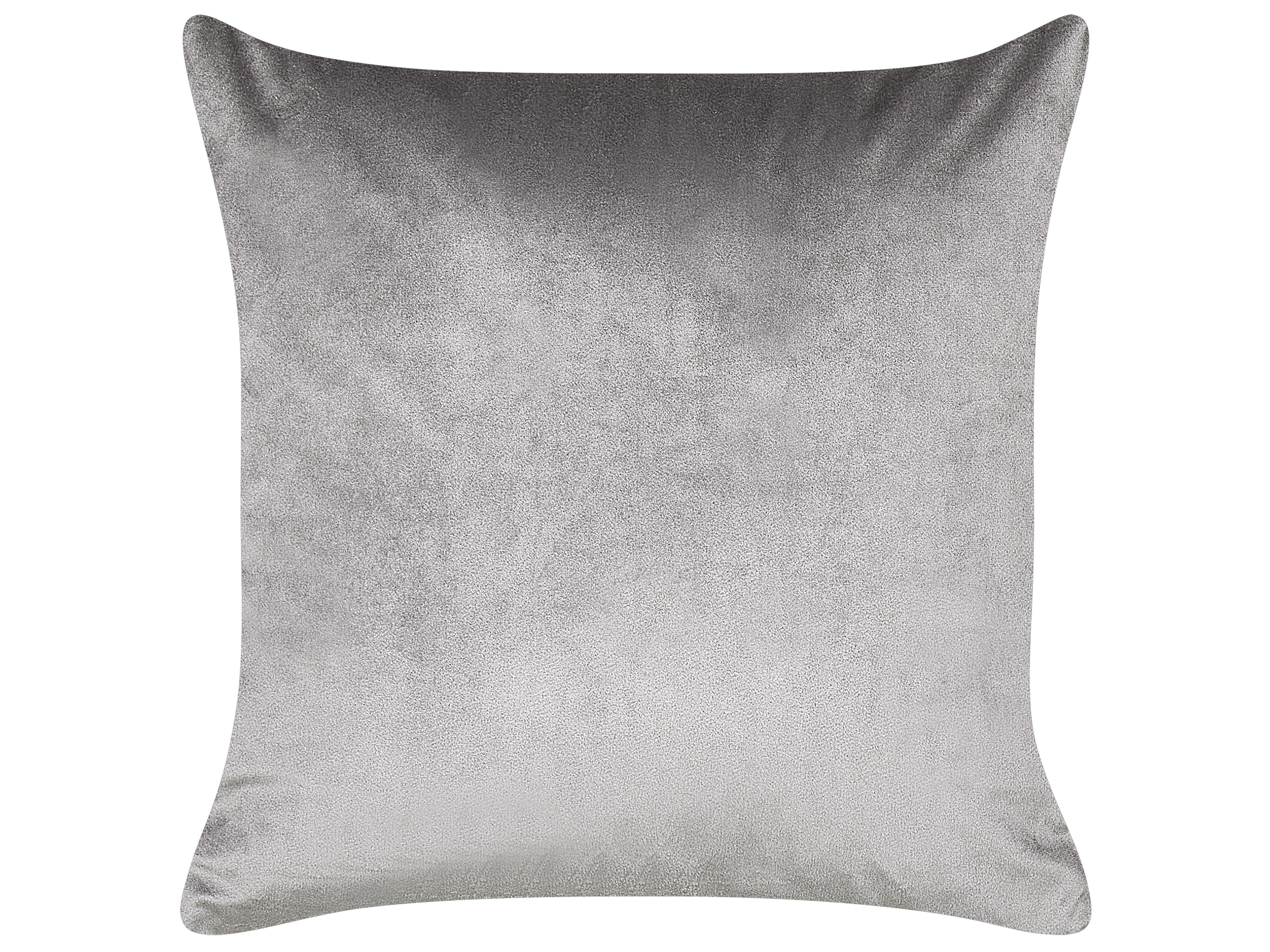 Set van 2 sierkussens EINADIA 45 x 45 cm Grijs