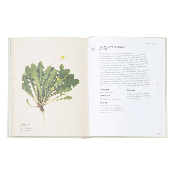 Thames & Hudson Plants for the People A Modern Guide to Plant Medicine - EN