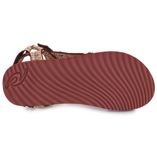Rip Curl - SEARCHER ALL TERRAIN OPEN TOE - Bordeaux