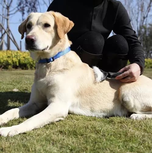 Hundekam / Kattekam - Kam for hund & katt