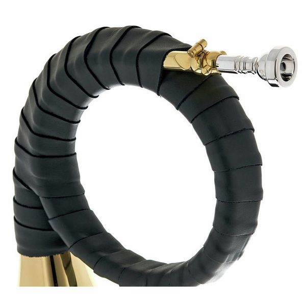 Dotzauer Fürst Pless in Bb 18815 L