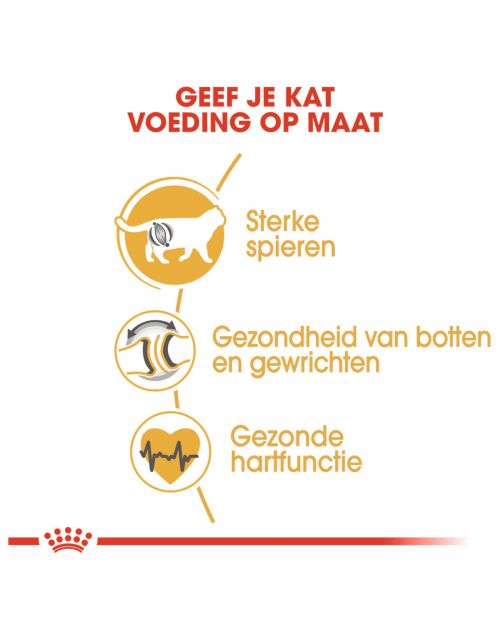 Royal Canin British Shorthair Adult - Kattenvoer