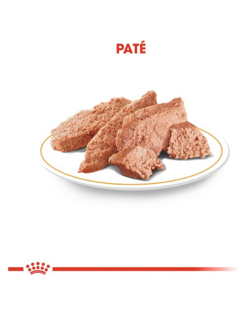 Royal Canin Chihuahua Adult Natvoer - Hondenvoer - 85 g