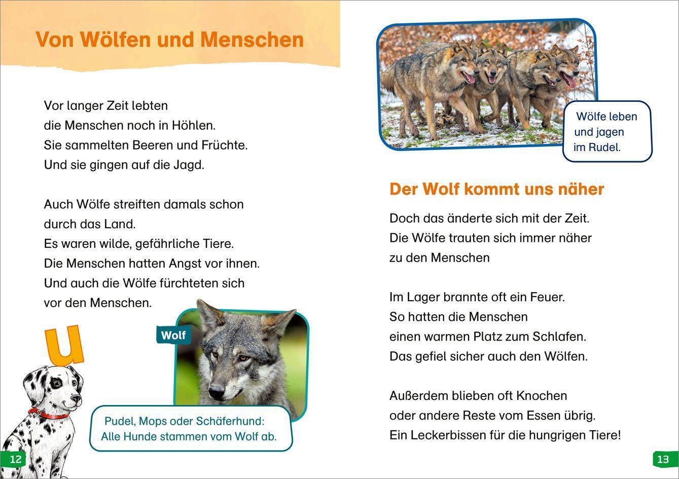 WAS IST WAS Erstes Lesen easy! / WAS IST WAS Erstes Lesen easy! Band 9. Hunde - meine Lieblingstiere