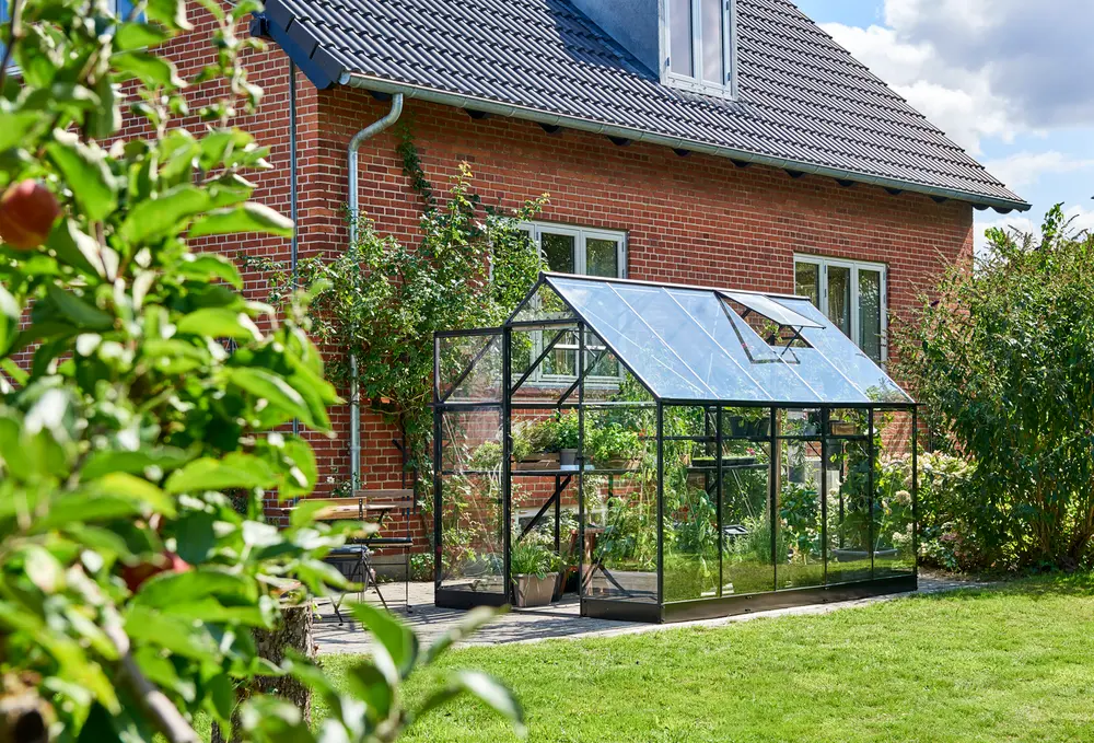 Halls Drivhus Qube 610 + hærdet glas - sort
