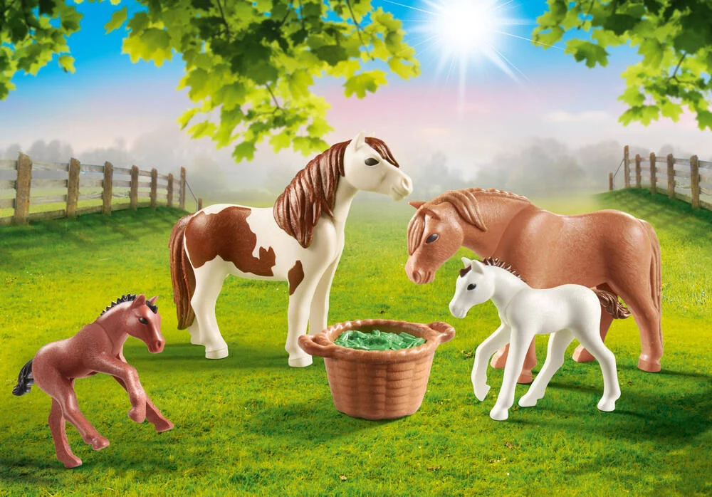 PONEYS ET POULAINS - 70682