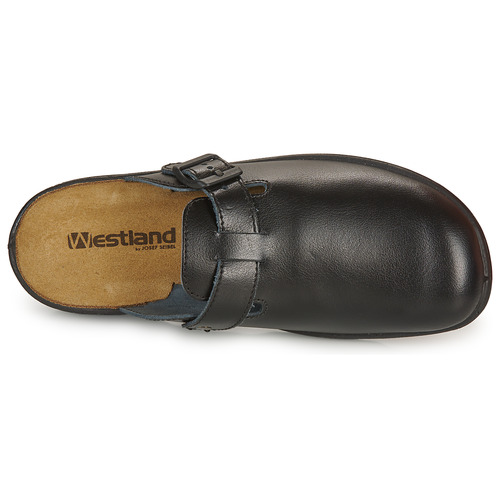 Westland - METZ 265 Negro