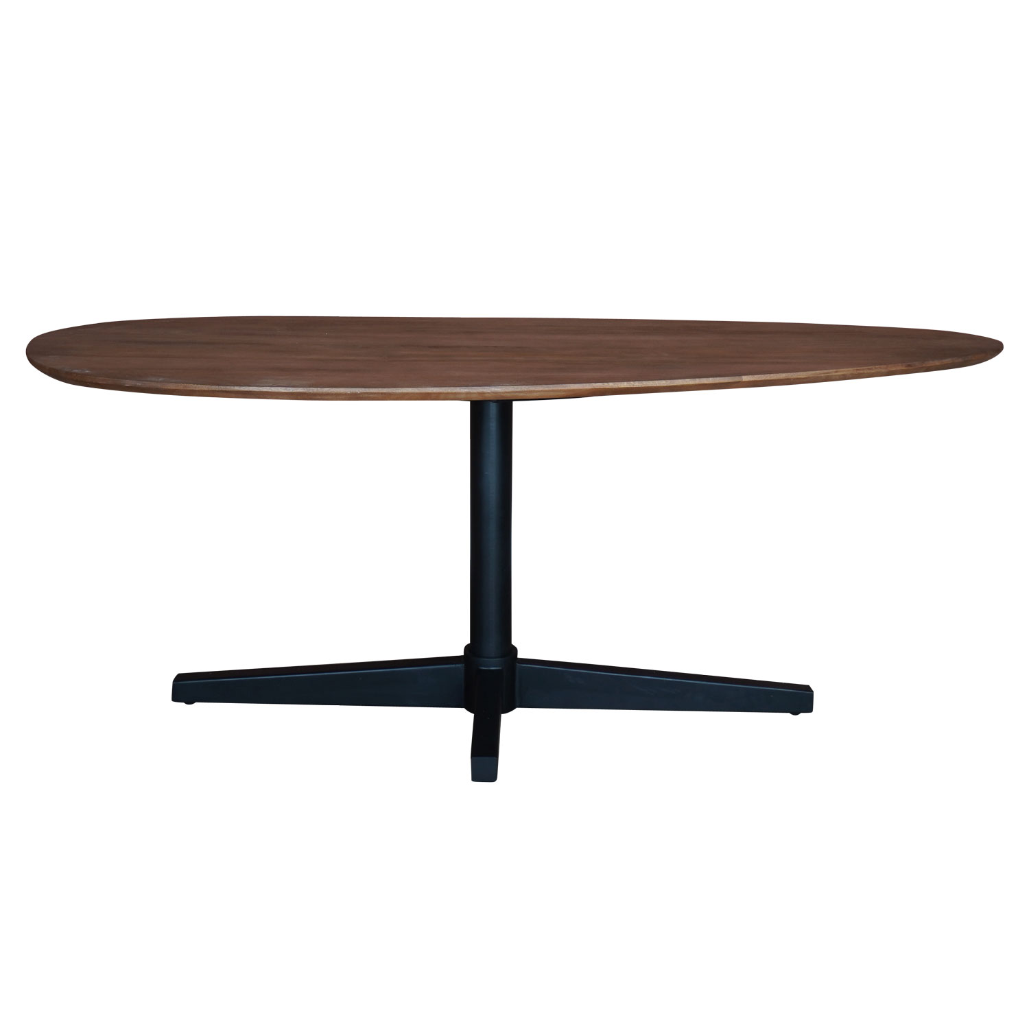 Eettafel Ray mangohout 200x100 cm