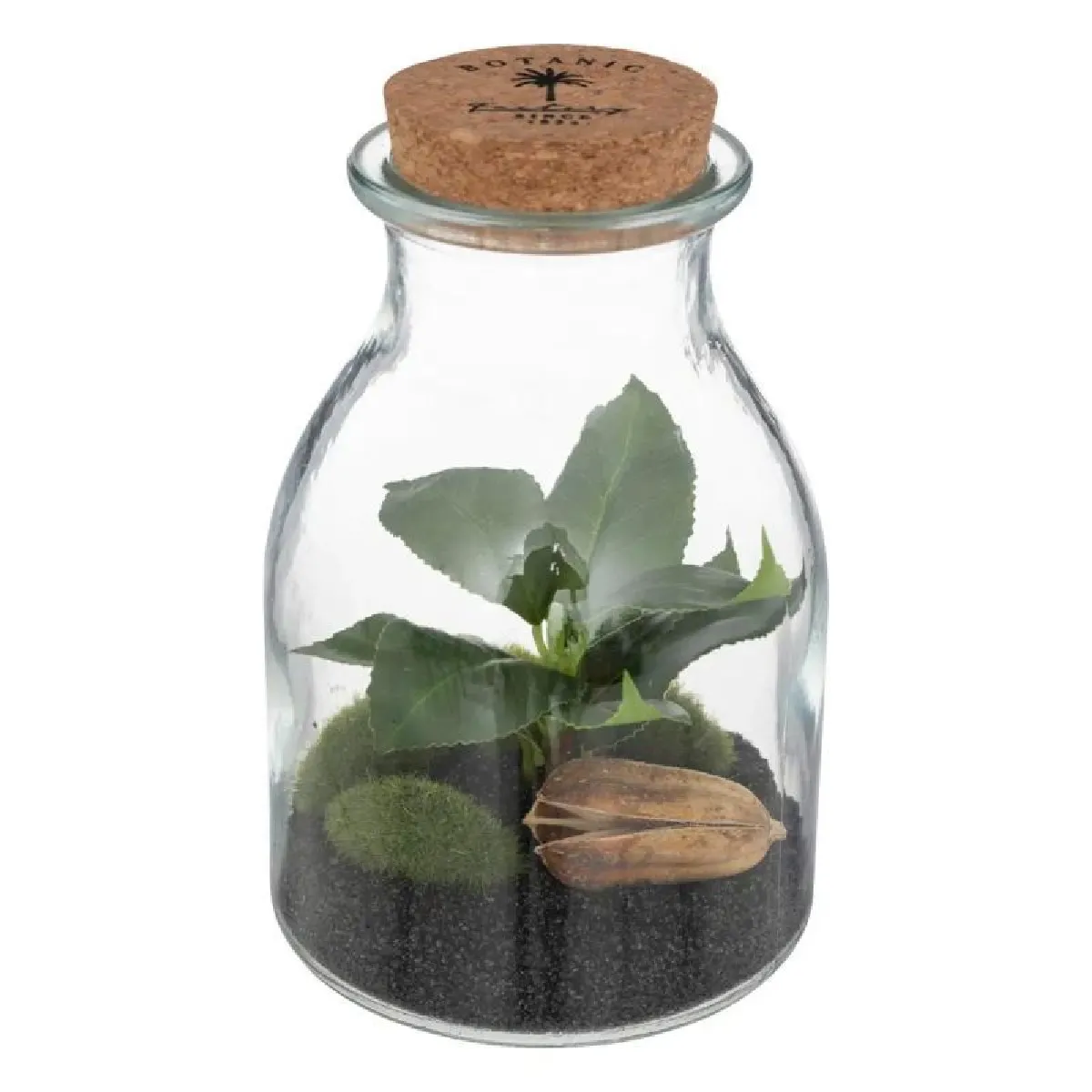 But Botanique Terrarium - H.19,5 cm - Vert