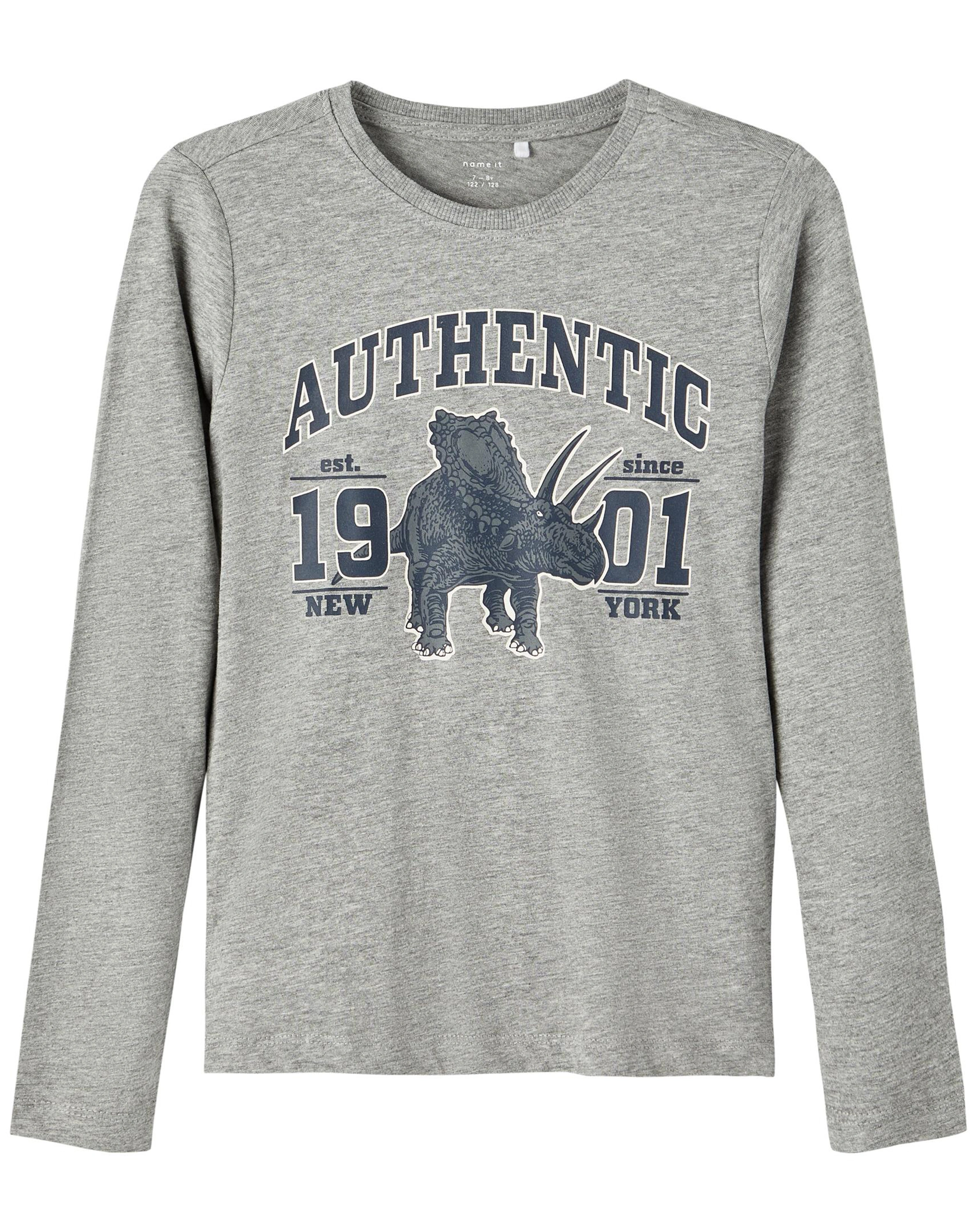 Jersey-Langarmshirt NKMRARO DINO in grey melange