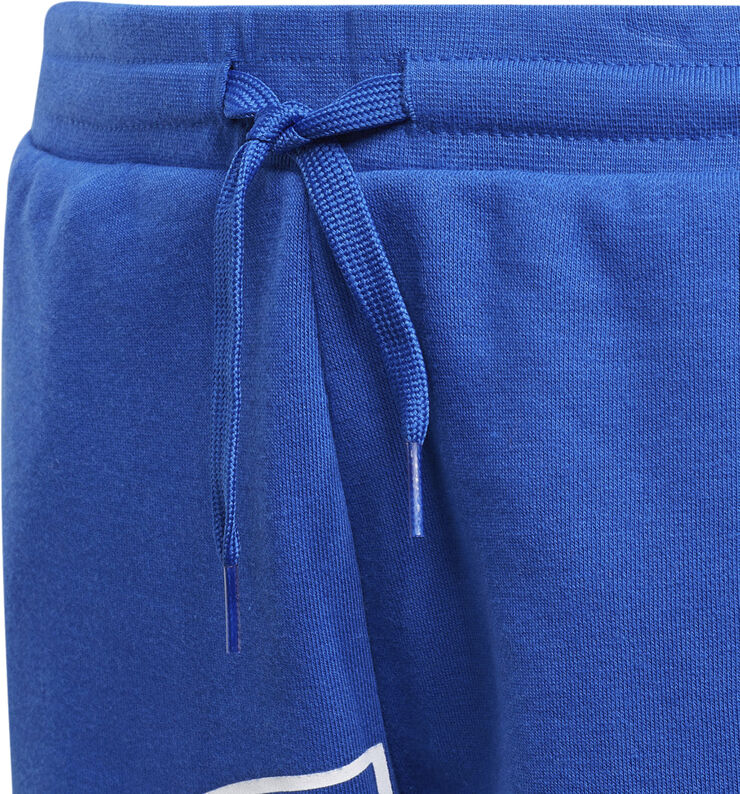 adidas Big Logo Trefoil shorts Gd2694