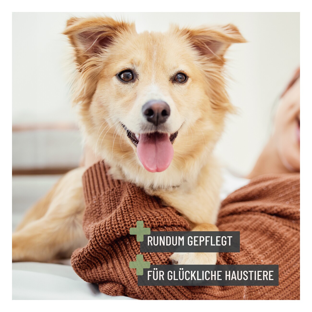 REAVET Fellkamm 2in1 für Langhaar
