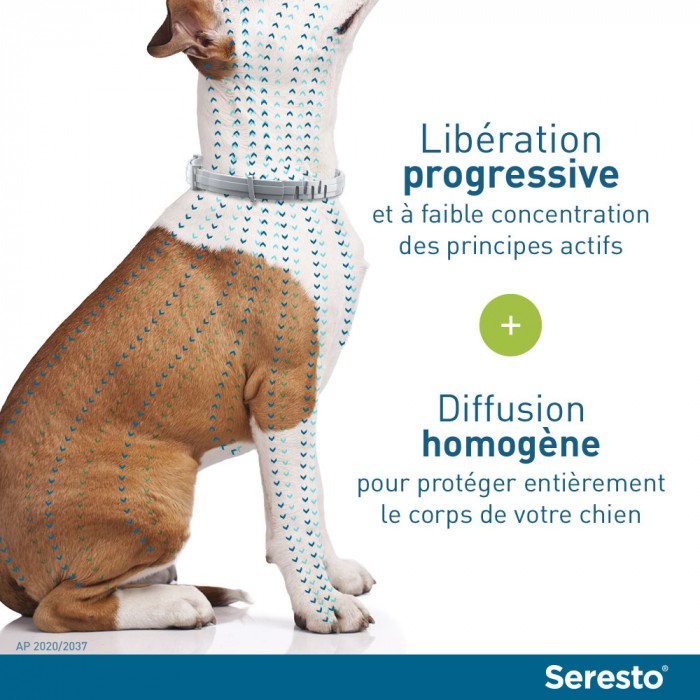 Collier antiparasitaire Seresto chien