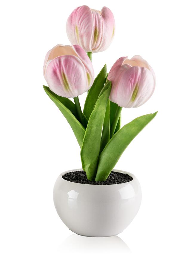 LED Tulpen 3er-Set – Dekolicht in Pink, Orange & Gelb