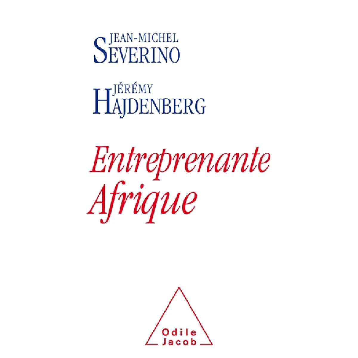Entreprenante Afrique · Occasion
