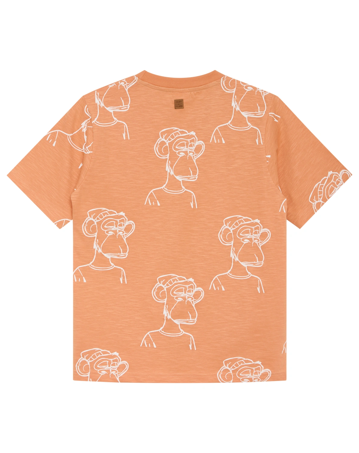 T-Shirt ANSKIL AFFE in pheasant