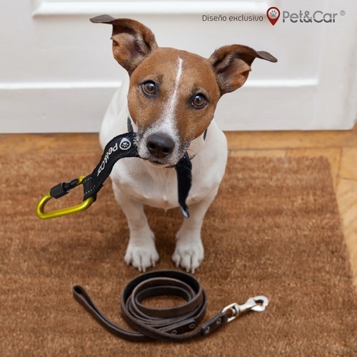 Guia extensível para cães, dourada/preta
