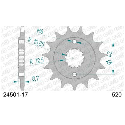 Kit chaine AFAM 520 Type Acier