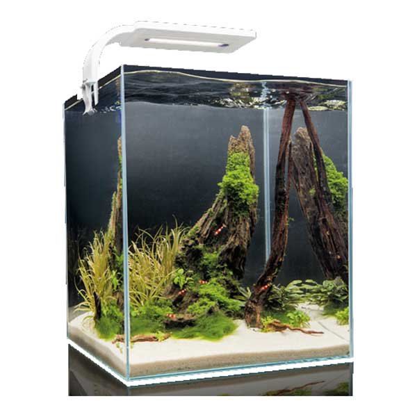 Aquael Shirmp D And N Complete Aquarium 30l Branco