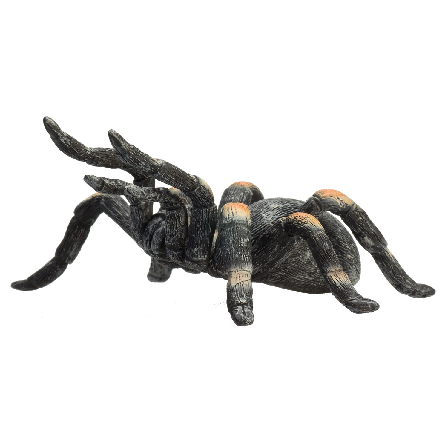 Mojo Wildlife Rode Tarantula - 387213