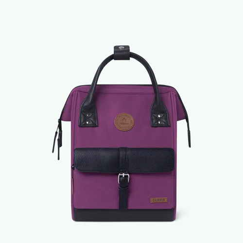 Sac à dos Adventurer Small Singapour violet