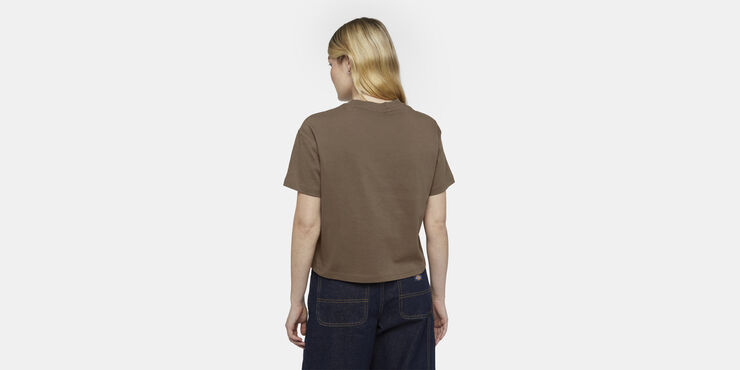 Dickies OAKPORT BOXY SS TEE MUSHROOM Mushroom