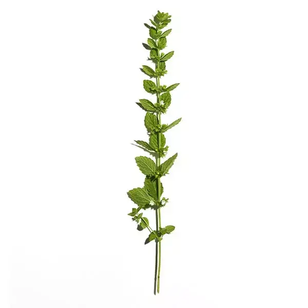 Água Micelar Demaquilante Sanoflore Aciana Botanica 200ml