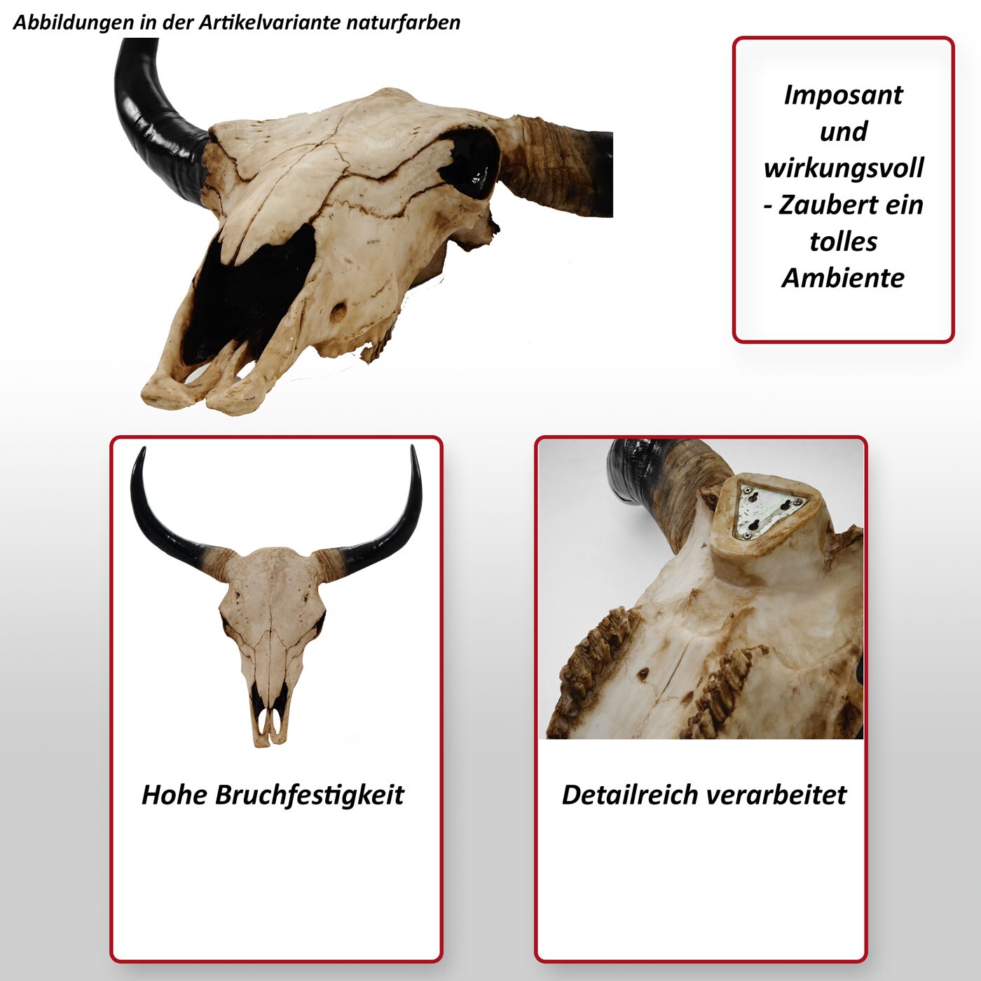 Deko Schädel 45cm MCW-T454, Polyresin Stier Bulle Longhorn Kopf Trophäe, In-/Outdoor ~ naturfarben